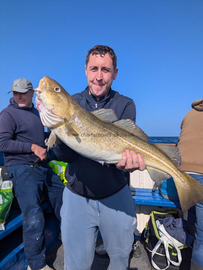 11 lb 4 oz Cod by Unknown