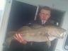 10 lb 8 oz Cod by adam watts