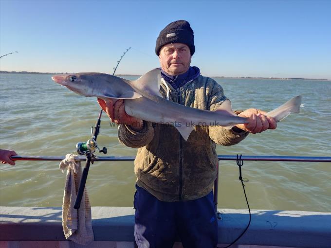 8 lb Smooth-hound (Common) by Ian From Bromley