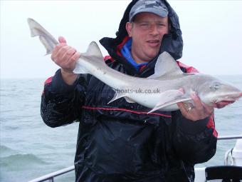 11 lb Starry Smooth-hound by lee