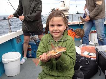 8 oz Tub Gurnard by Kitty