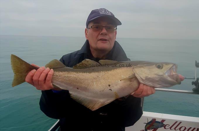 7 lb Pollock by Mark