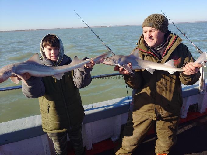 6 lb Starry Smooth-hound by Andrew and son