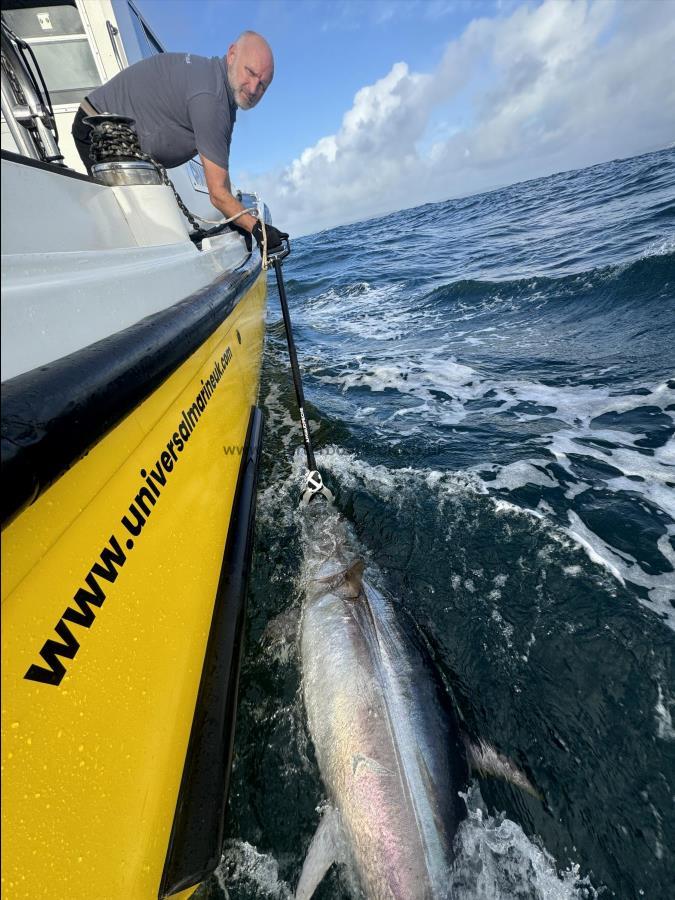 200 lb Bluefin Tuna by Unknown