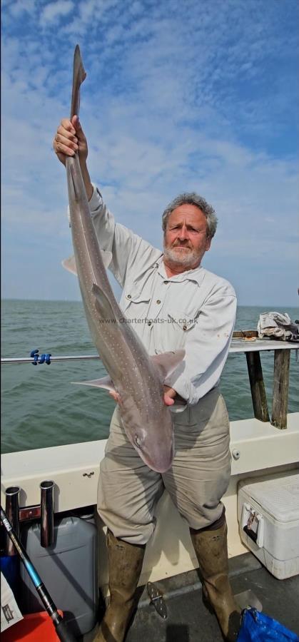 12 lb 8 oz Starry Smooth-hound by Mick