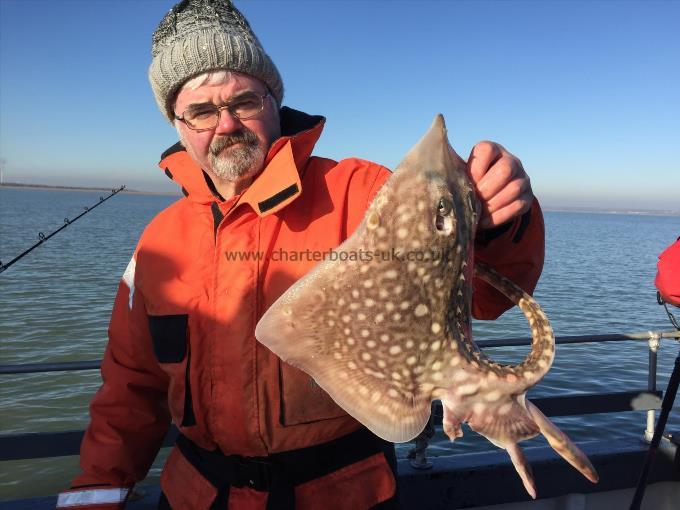 4 lb 7 oz Thornback Ray by Unknown