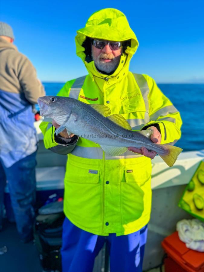 3 lb 6 oz Cod by Den