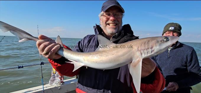 6 lb 4 oz Smooth-hound (Common) by Pete