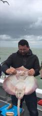 12 lb 8 oz Thornback Ray by Unknown