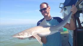 8 lb Smooth-hound (Common) by Woody