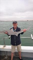 11 lb Smooth-hound (Common) by Eddie from Ramsgate