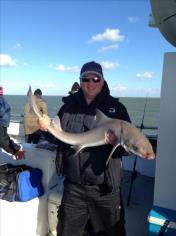 14 lb 6 oz Smooth-hound (Common) by Unknown