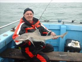 10 lb 5 oz Smooth-hound (Common) by Alan