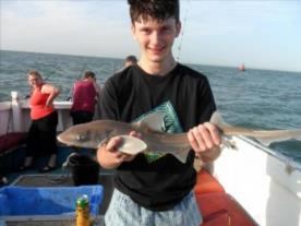 4 lb Smooth-hound (Common) by Daniel