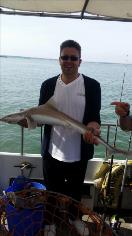 10 lb 3 oz Starry Smooth-hound by Lee