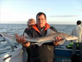 6 lb Smooth-hound (Common) by Paul