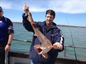 13 lb Bull Huss by Phil P from Milford Haven