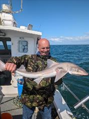 6 lb Starry Smooth-hound by Unknown