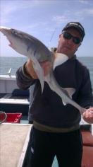 6 lb Smooth-hound (Common) by John