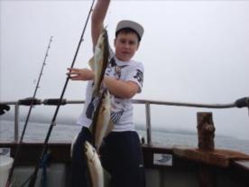 6 lb Pollock by Aaron from Norfolk