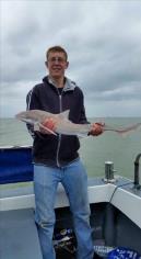8 lb 3 oz Smooth-hound (Common) by Unknown